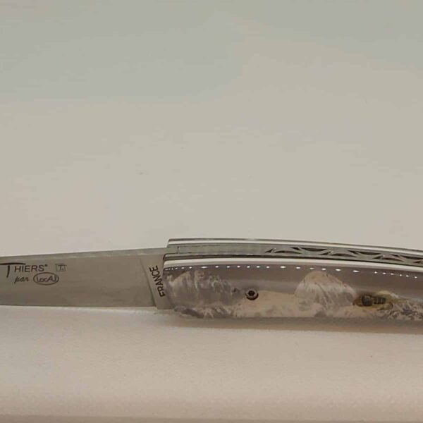 Le Thiers Locau Résine Hameçon