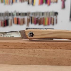 Le Thiers Rotosphère Bruno Sauzedde 10cm Olivier