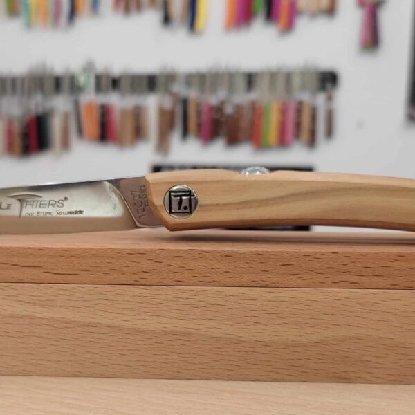 Le Thiers Rotosphère Bruno Sauzedde 10cm Olivier